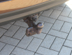 Dacia Duster 1,6 i 16 V 4WD