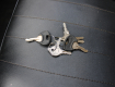 Dacia 1300 1,3 L